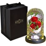 Rose ternelle sous cloche lumire de dme en verre avec lumire led et base fleur artificielle dcoration ...