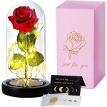 Rose �ternelle sous clochela belle et la b�te avec carte de v?uxabat - jour en verre ledcadeau de vacances ...