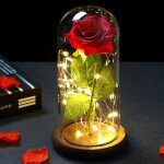 Rose �ternelle stabilis�e en cloche - suteo - effet verre - 21x9x9 cm - rose - d�coration romantique ...