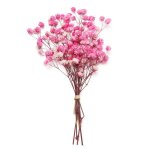 Mini bouquet de fleurs naturelles s�ch�es - gypsophila - rose fonc� - petit bouquet d�coratif - int�rieur ...
