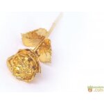 Rose dore - non spcifi - plaque or 24k - bote en velours noir - certificat dauthenticit - dcoratif ...
