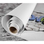 Rouleau papier  dessin - canson - the wall - 1 x 5 m - 220 g / m2 - blanc trs lisse