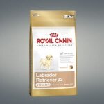 Royal canin bhn labrador retriever puppy - nourriture sèche pour chiots - 3kg Royal canin bhn labrador retriever puppy - nourriture sèche pour chiots - 3kg