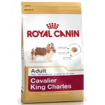 Croquettes royal canin cavalier king charles 27 - 15kg - aliment pour chien