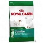 Croquettes pour chien - royal canin - mini junior - 800 g - croissance saine - haute digestibilité Croquettes pour chien - royal canin - mini junior - 800 g - croissance saine - haute digestibilité