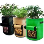 Sac à plantes 3 pcs 10 gallons plantes sac de croissancesacs de plantation de légumes avec rabat et poignéespo ... Sac à plantes 3 pcs 10 gallons plantes sac de croissancesacs de plantation de légumes avec rabat et poignéespo ...