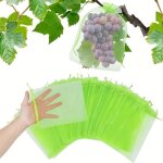Sacs de protection des fruits 100pcs - sac de filet de protection des fruits - pour sac  arbre fruitier ...