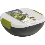 Boite � repas salade - fuel - contenant r�frig�rant avec bloc de glace - vert - carr�