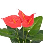 Sale 2026plante artificielle aspect r�aliste rouge - plante artificielle avec pot anthurium 45 cm rouge ...