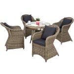 Salon de jardin rotin r�sine tress� synth�tique 4 places marron naturel 2108106