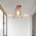 Sayoo 1pcs plafonnier industrielle en m�tal or rose �20cm cage vintage lustre pour salon chambre caf� ...