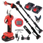 S�cateur �lectrique sans fil 2 - en - 1 avec perche t�lescopique 2286 cm moteur brushless 300w 3 modes ...