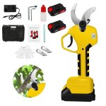 S�cateur �lectrique sans fil de 40 mm r�glable � 2 vitesses �quip� de 2 batteries 21 v et de lames sk5 ...