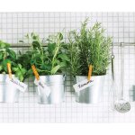 Semis de printemps : trio de graines aromatik  semer : thym romarin basilic