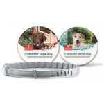 Seresto - collier antiparasitaire > 8 kg