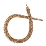 Serpent articul bois 50cm beige ivoire crme cru naturel taupe