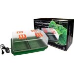 Serre chauffante 38 x 24 x 19 cm - neptune