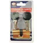 Serrure - evoe - cylindre 60mm à 5 clés sécurité - nickelé - 2 entrées - 5 goupilles Serrure - evoe - cylindre 60mm à 5 clés sécurité - nickelé - 2 entrées - 5 goupilles