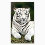 Alpes blanc - serviette de plage tigre blanc 90x170