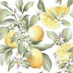 Serviettes de table - ambiente - paquet de 20 - 3 plis - 33x33cm - en papier de soie - jetable - motif ...