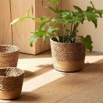 Set de 3 cache - pots tress�s en algues marines naturelles corbeille d�corative boh�me pour plantes dint�rieur ...