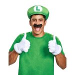 Set accessoire luigi adulte