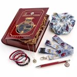 Set cadeau harry potter poudlard express