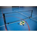 Set complet de mini pickleball carrington