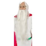 Set de perruque et barbe panoramix - adulte - noir - int�rieur - 14 ans