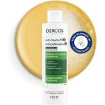 Shampooing anti - pelliculaire - febest - cheveux normaux � gras - 200 ml - sans parfum - sans parab�nes ...