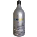 Shampooing clarifiant blue gold premium expert only n 1 salvatore 1 l