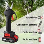 Siebwin 48vf secateur electrique professionnel sécateur Électrique sans fil pour branches darbres à fruits ... Siebwin 48vf secateur electrique professionnel sécateur Électrique sans fil pour branches darbres à fruits ...
