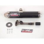 Silencieux d échappement giannelli pour moto yamaha 125 dtr 2004 - 2006 54606hf Silencieux d échappement giannelli pour moto yamaha 125 dtr 2004 - 2006 54606hf