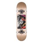Skateboard complet - globe - mt warning 7. 6 - beige - mixte - adulte