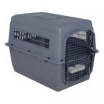 Cage de transport - sky - kennel 500 - iata - 102x69x76 cm - pour chien grand