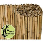 Sol royal canisse en bambou solvision b38 fence 90x250cm haie brise - vue brande jardin terrasse balcon ... Sol royal canisse en bambou solvision b38 fence 90x250cm haie brise - vue brande jardin terrasse balcon ...