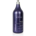 Lissage brsilien protine thrpy liss no frizz sorali 1 kg