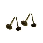 Soupapes admission et �chappement - yx - 22 / 19mm - dirt bike