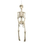 Faux squelette - non spcifi - 90cm - plastique - dcoration de fte - suspendu