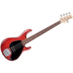 Sterling by music man stingray ray5 walnut satin basse electrique