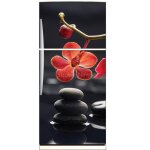 Stickers frigo dco cuisine orchide 6223 dimensions