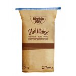 Sucre cassonade pure canne lantillaise bghin say 5kg / sac 1 sac
