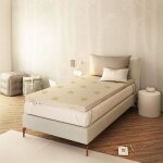 Surmatelas 70x190 cm - epaisseur 3 cm - m�moire de forme ultra frais et respirant - dehoussable aloe ...