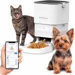 Sybilpet distributeur automatique de nourriture pour chats et chiens de petite taille ? distributeur ...