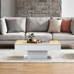 Table basse 110x60x40 cm blanc / imitation ch�ne en panneau de particules avec 2 compartiments de rangement ...