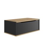 Table basse ralphio 100x55x38cm en panneaux de particules et mdf avec espace de rangement. finition noire ...