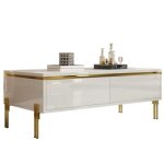 Table basse - multifonctionnelle - meuble de salon - blanc - 100 x 50 x 36 cm
