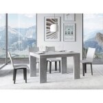 Table rectangulaire extensible 4 à 10 personnes l 130 à 234 cm gris béton ribo 2 pieds Table rectangulaire extensible 4 à 10 personnes l 130 à 234 cm gris béton ribo 2 pieds