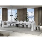 Table rectangulaire extensible 6 à 20 personnes l 160 à 420 cm blanche ribo 2 pieds Table rectangulaire extensible 6 à 20 personnes l 160 à 420 cm blanche ribo 2 pieds
