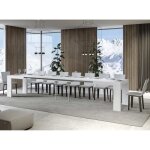 Table rectangulaire extensible 6 à 20 personnes l 180 à 440 cm frêne blanc ribo 2 pieds Table rectangulaire extensible 6 à 20 personnes l 180 à 440 cm frêne blanc ribo 2 pieds